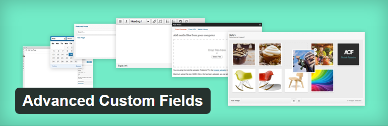 Advanced Custom Fields Free  Most Popular WordPress plugins