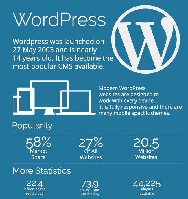 what is wordpress - ultimate guide & infographic