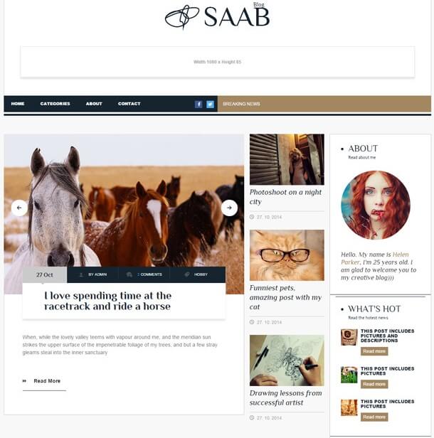 Saab Magazine WordPress theme