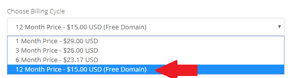 Pay Yearly & save $168 also get a FREE .BLOG Domain Name